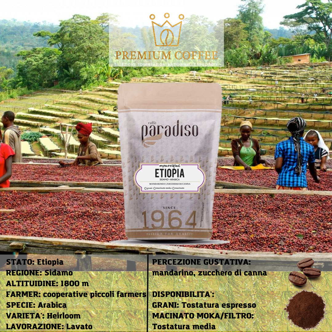 etiopia sidamo